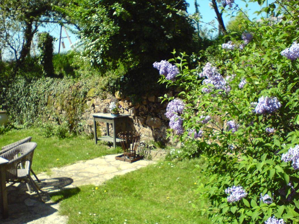 Les Champys Guest House Saint-Péreuse Eksteriør bilde