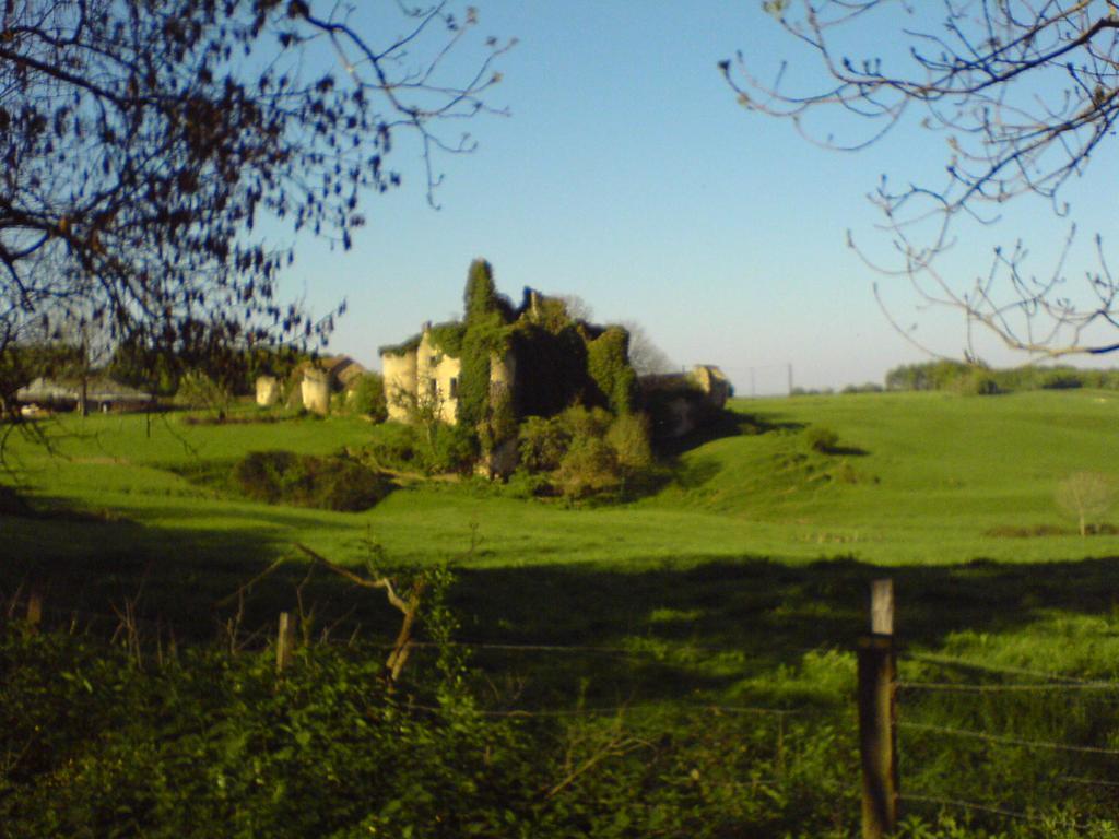 Les Champys Guest House Saint-Péreuse Eksteriør bilde